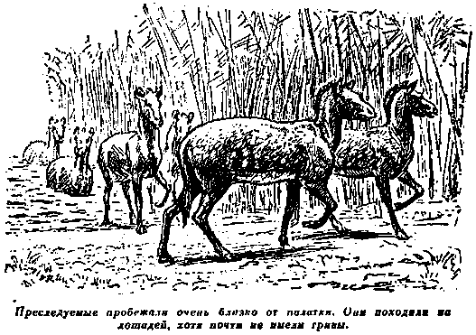 Плутония. Необычайное путешествие в недра земли pic_21.png