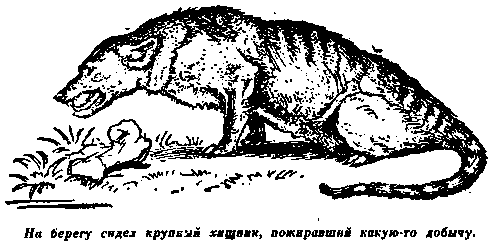 Плутония. Необычайное путешествие в недра земли pic_25.png