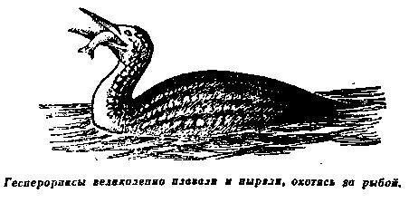 Плутония. Необычайное путешествие в недра земли pic_27.png