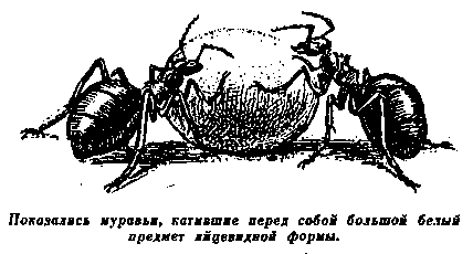 Плутония. Необычайное путешествие в недра земли pic_34.png