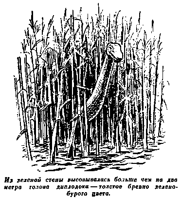 Плутония. Необычайное путешествие в недра земли pic_36.png