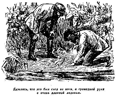 Плутония. Необычайное путешествие в недра земли pic_40.png