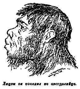 Плутония. Необычайное путешествие в недра земли pic_42.png
