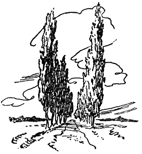Тонкая струна _056.png