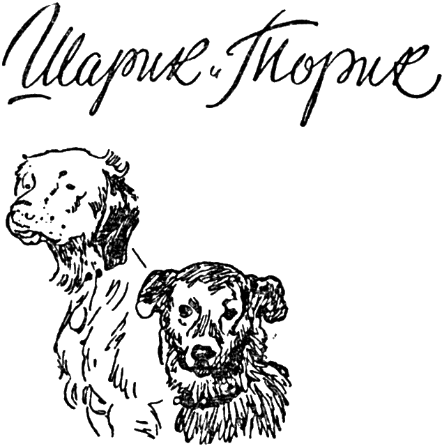 Тонкая струна _007.png