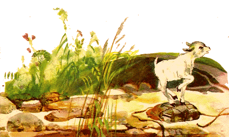 Сестрица Аленушка и братец Иванушка (илл. Чеботарёв) i_011.png