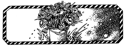 Дівчинка з Землі doc2fb_image_0300001D.png