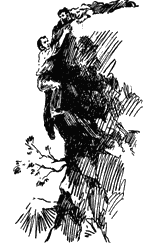Русское сердце any2fbimgloader6.png