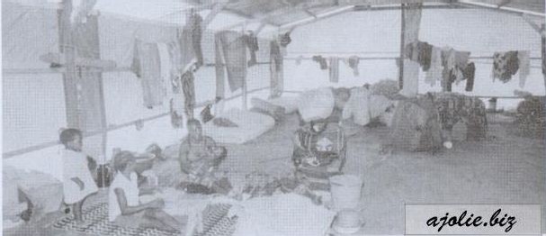 Мои путевые записи i_010.jpg