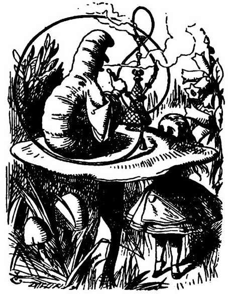 Alice's Adventures in Wonderland. Аня в стране чудес i_019.jpg