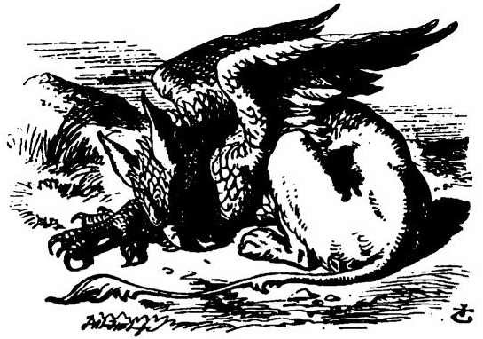 Alice's Adventures in Wonderland. Аня в стране чудес i_037.jpg