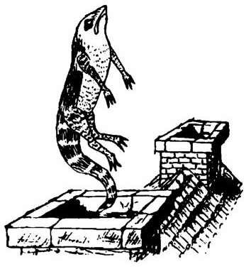 Alice's Adventures in Wonderland. Аня в стране чудес i_063.jpg