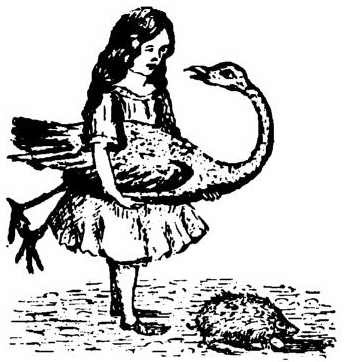 Alice's Adventures in Wonderland. Аня в стране чудес i_078.jpg
