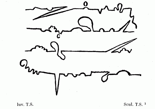 Жизнь и мнения Тристрама Шенди, джентльмена tristram_s1.png