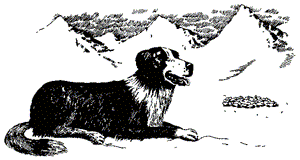Сирра и 700 ягнят doc2fb_image_03000001.png