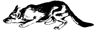 О чем лают собаки pic_18.png