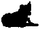О чем лают собаки pic_8.png
