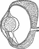 Занимательная физика. Книга 2 pic_138.jpg