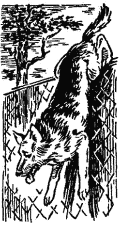 Буран i_003.png