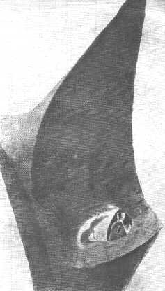 Сент-Экзюпери bio002i36.jpg