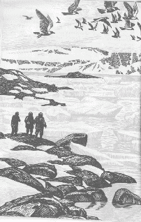 Путешествие длиною в жизнь i_005.png