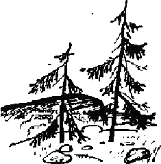 Избранные произведения для детей i_006.png