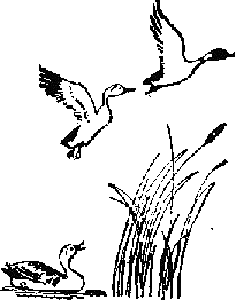 Избранные произведения для детей i_035.png