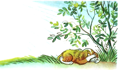 Кто сказал «Мяу»? (с илл. Сутеева, изд.1) i_020.png