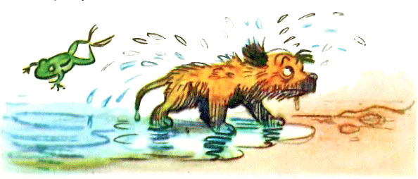 Кто сказал «Мяу»? (с илл. Сутеева, изд.1) i_027.png