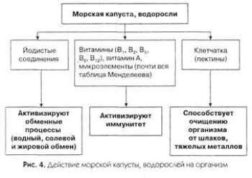 Будь зрячим без очков! _5.JPG