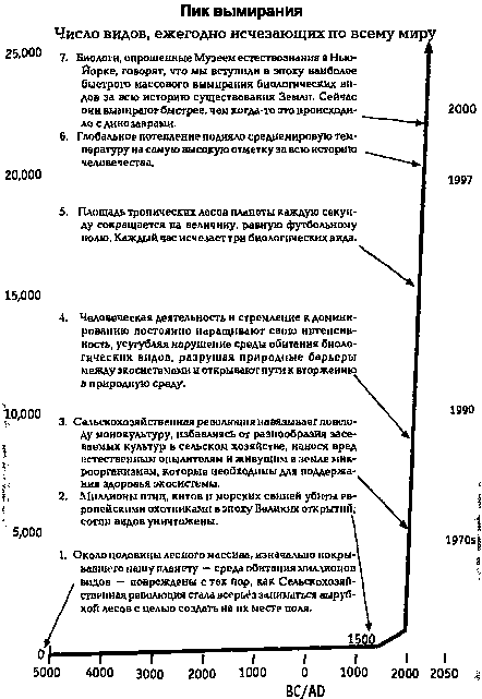 Потреблятство. Болезнь, угрожающая миру i_017.png