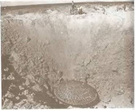 Истоки знания pic_44.jpg