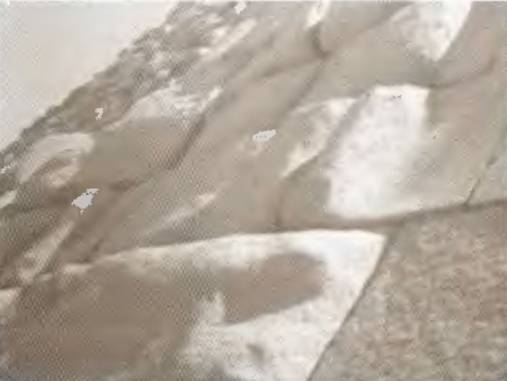 Истоки знания pic_59.jpg