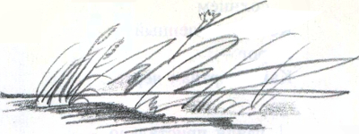 Стихотворения i_053.jpg