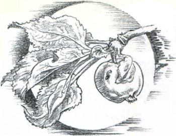 Стихотворения i_054.jpg