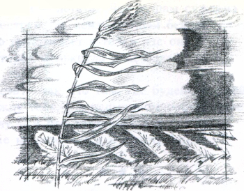 Стихотворения i_032.jpg
