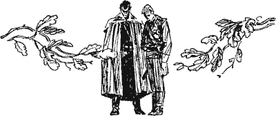 Дуб стоеросовый Sob23220.png