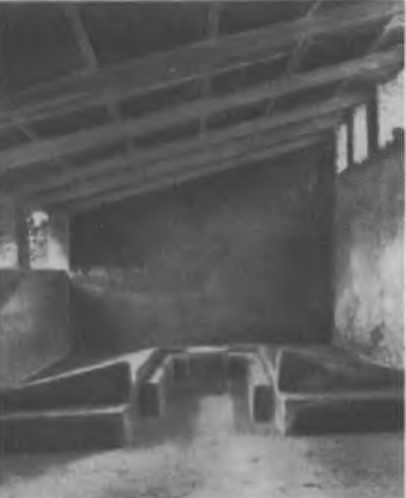Цицерон _40.jpg