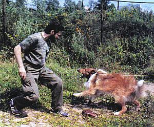 Слово о собаке i_140.jpg