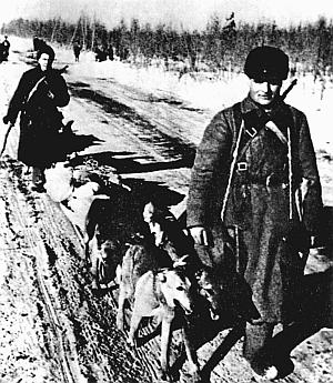 Слово о собаке i_156.jpg