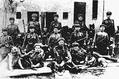 Слово о собаке i_157.jpg