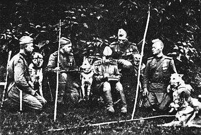 Слово о собаке i_158.jpg