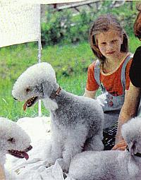Слово о собаке i_189.jpg