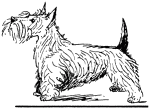 Слово о собаке i_200.png