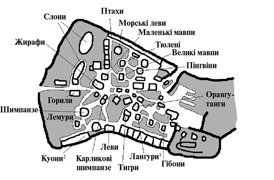 Загадковий нічний інцидент із собакою _18.jpg
