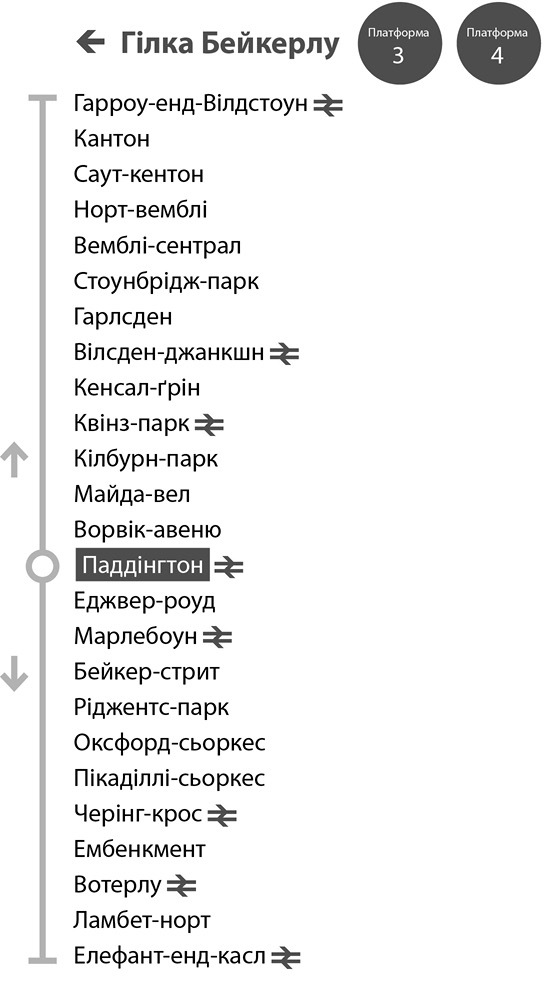 Загадковий нічний інцидент із собакою _49.jpg