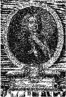 Тайны смутных эпох any2fbimgloader59.png