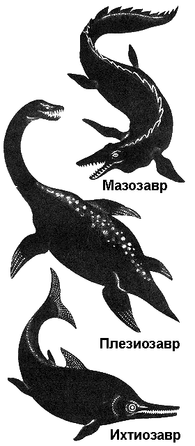 По морям вокруг Земли. Детская морская энциклопедия. Часть II i_028.png