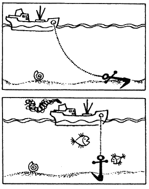 По морям вокруг Земли. Детская морская энциклопедия. Часть III i_113.png