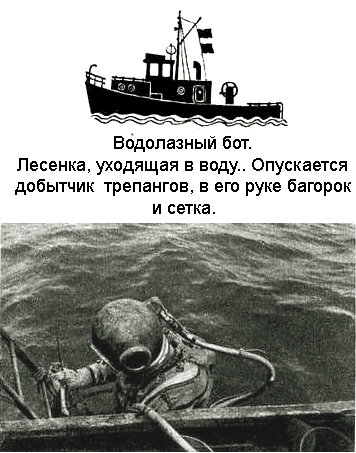 По морям вокруг Земли. Детская морская энциклопедия. Часть III i_060.png